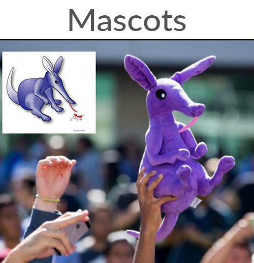 Make Your Own Stuffed Animals in Bulk Stuffed Animal Pros